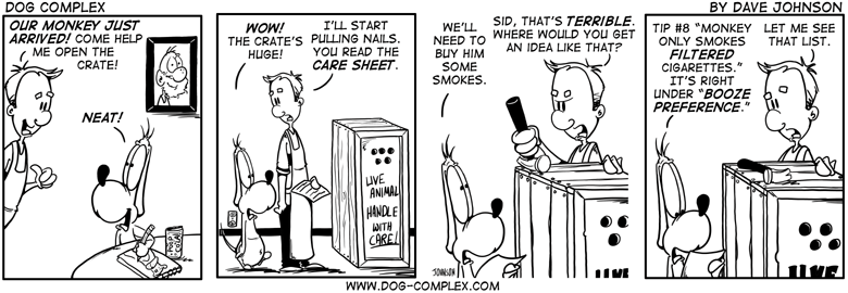 dog